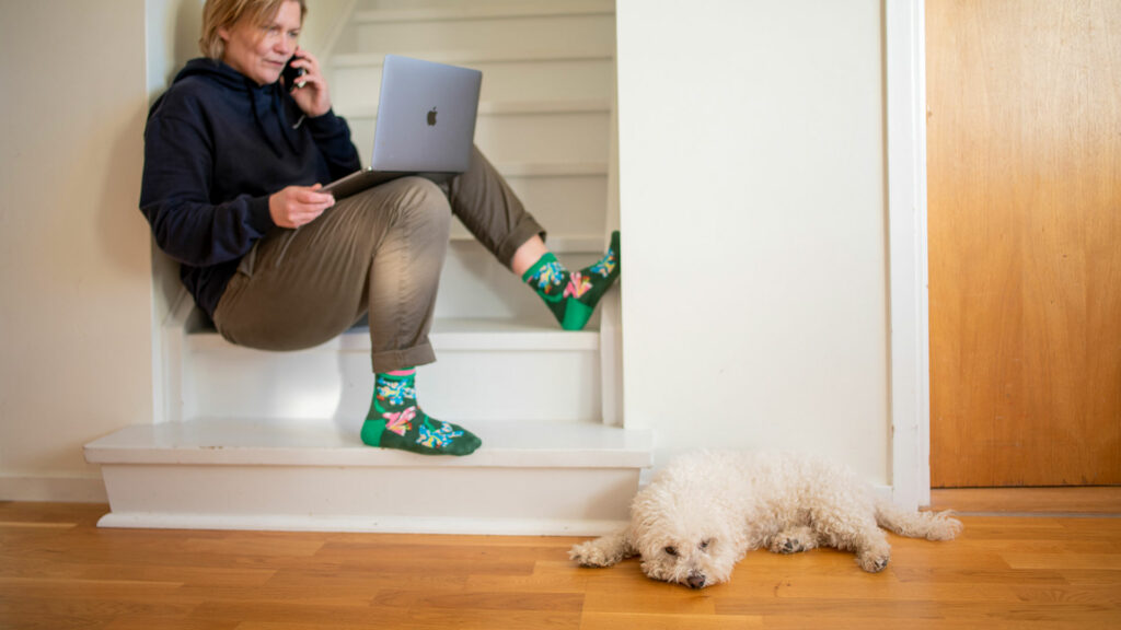 En kvinna sitter i en trappa med laptopen i knät och pratar i mobilen. Bredvid ligger en hund.