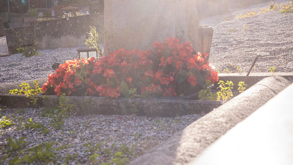 Gravsten med blommor i motljus.