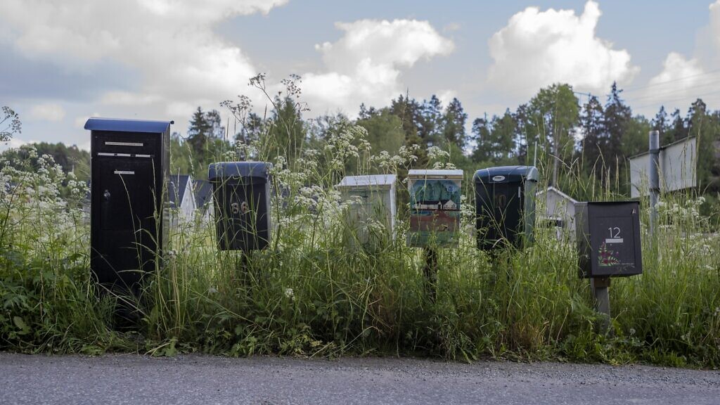 En rad brevlådor vid en äng.